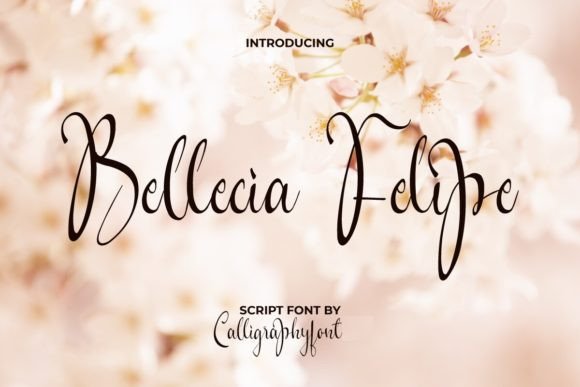 Bellecia Felipe Font: Elevating Creative Design