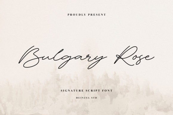 Bulgary Rose: An Elegant Script for Modern Design