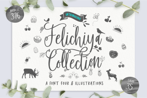 Elevate Your Designs with the Felichiya Collection