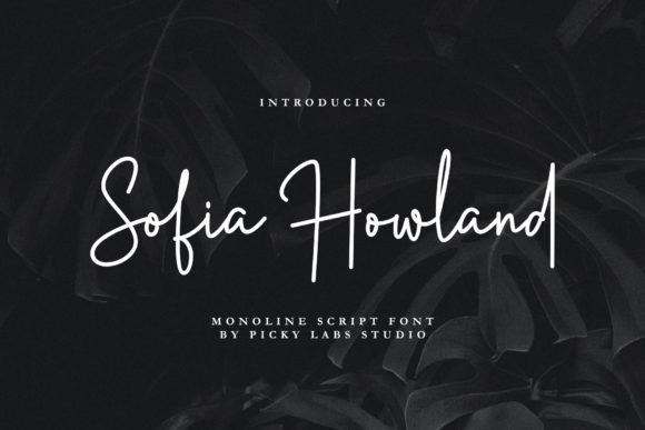 Sofia Howland: Elevate Your Designs with Elegant Script Typography